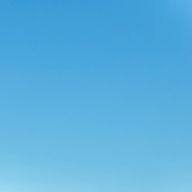 文旦さんのアイコン画像