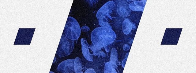 　白星 あまとさんの壁紙画像