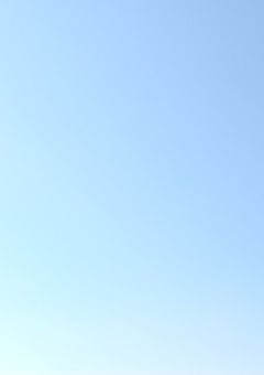 　　✧　専用