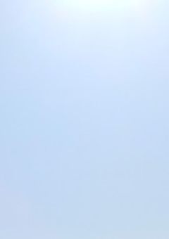 　　✧　宣伝