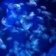 ユウさんのアイコン画像