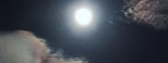 明後日さんの壁紙画像