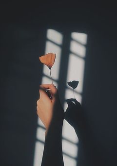 綺麗な華じゃなくてもいい