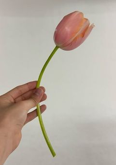 人気者の君に片思い