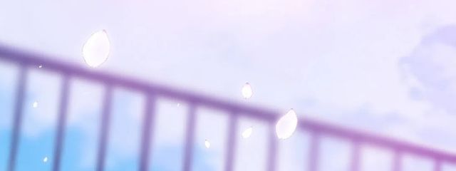 しゃちさんの壁紙画像