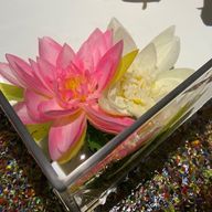 さっき〜さんのアイコン画像