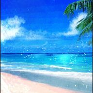 ユーザーページへ