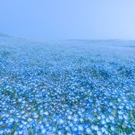 ユーザーページへ