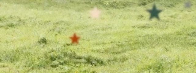 🌱 ͛.*바보 같은 삼색 단고 🍳🌷*｡さんの壁紙画像