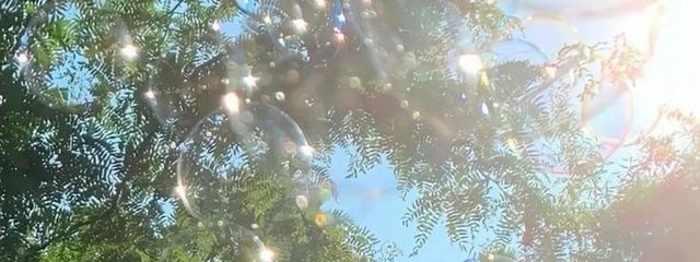 　Sou.さんの壁紙画像