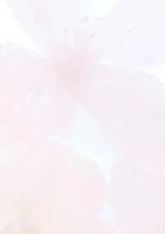 # レンタル彼氏頼んだら、推しだった件。(         ☁️🐈ver