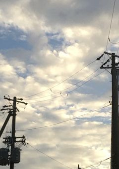 ふうかちゃん 専用部屋