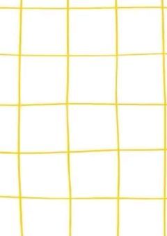 あの ｱﾏﾄｳ ｷﾝﾆｸ には  ｲﾓｳﾄ  が  いました 。