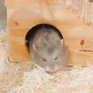 ケイト🍎さんのアイコン画像