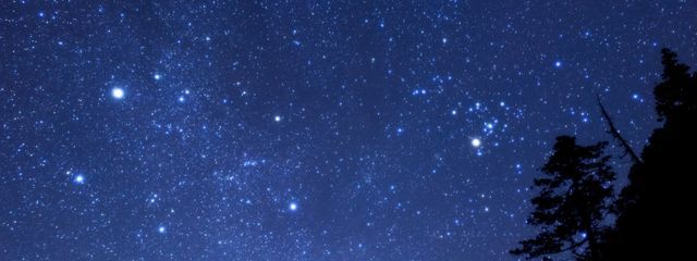さくら❀*.ﾟ#骨折のため9月上旬辺りまで無浮上さんの壁紙画像