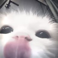 つーさんのアイコン画像