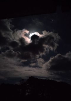 屋敷の中にいる犯人