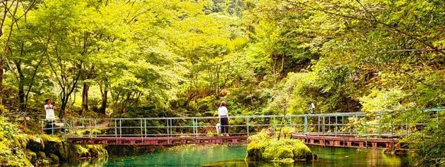 つき🌙* :ﾟさんの壁紙画像