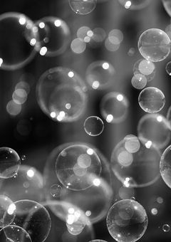 僕の事、取り合わないで！