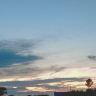 さな🐭🦉さんのアイコン画像