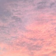 🌟🎞️さんのアイコン画像