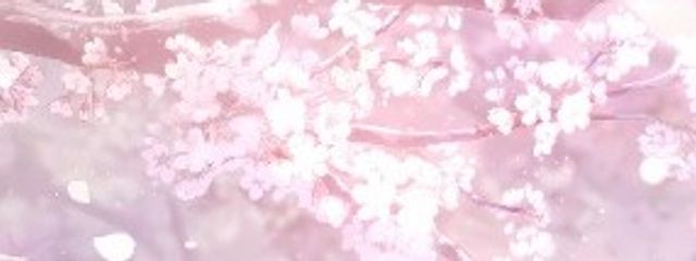 　ふ た ご　❀　ペ ア 画さんの壁紙画像