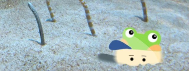 えだまめさんの壁紙画像
