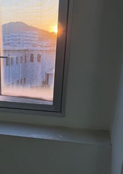 はるさめと本音