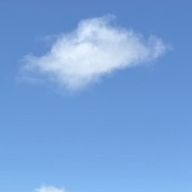 無名のごりらさんのアイコン画像