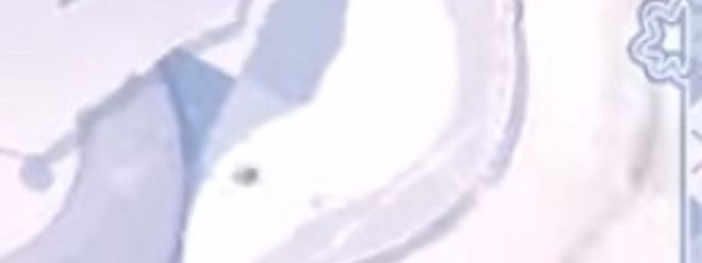 STPR推し＊(*´꒳`*)さんの壁紙画像