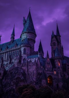 ディアソムニア寮の寮長には嫁がいた!?〚参加型〛