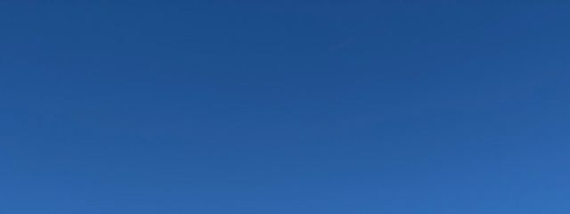 蒼さんの壁紙画像
