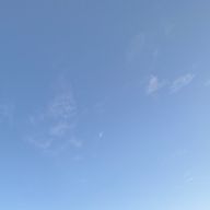 蒼さんのアイコン画像