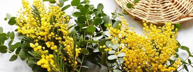 にじか*☆#？@ほぼサブ垢で生きてるさんの壁紙画像