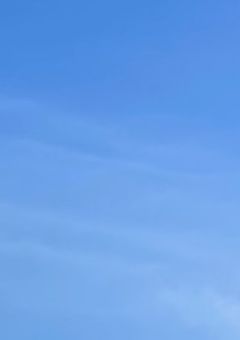 今日は月が綺麗ですね。