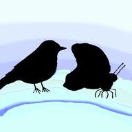 猫柳さんのアイコン画像