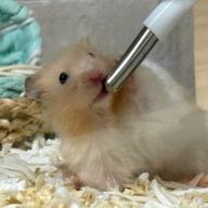 日常日記さんのアイコン画像