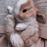 かずしゅん💚❤️さんのアイコン画像