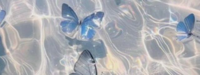 せり さんの壁紙画像