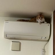 リドネスさんのアイコン画像