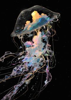 ＂忠犬の正しい躾方