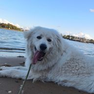  すんすんさんのアイコン画像