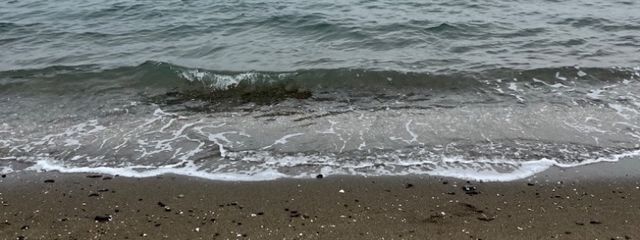 なばさんの壁紙画像