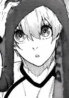 マネージャーではありません、メイドです