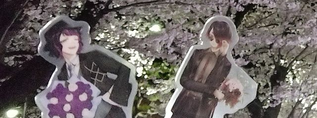 乃々愛さんの壁紙画像