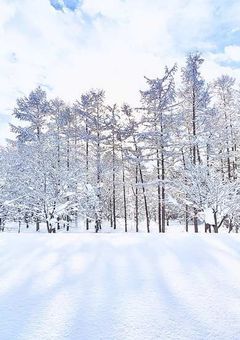 今日好き Snow編.