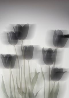 君と僕の恋のお話。