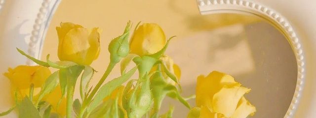 菜花 美恋🌼💛　　ちょっと浮上…？さんの壁紙画像