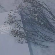 八瀬 蘭さんのアイコン画像