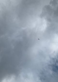 2人はバカキュア♡